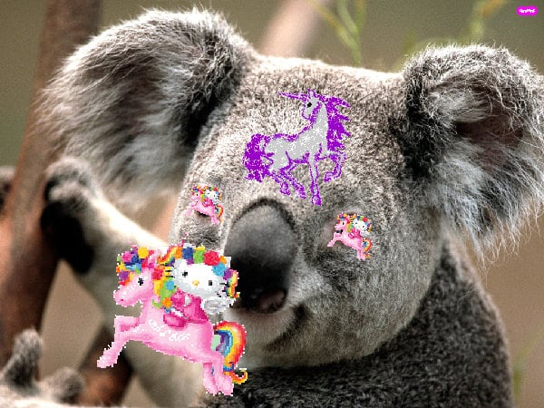 The most joyful merry cool best composition