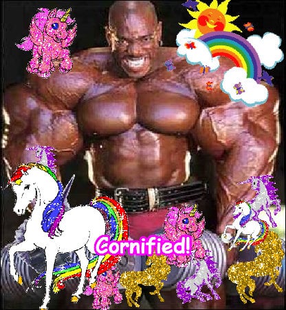 Mindblowingly awesome sunny cool merry family