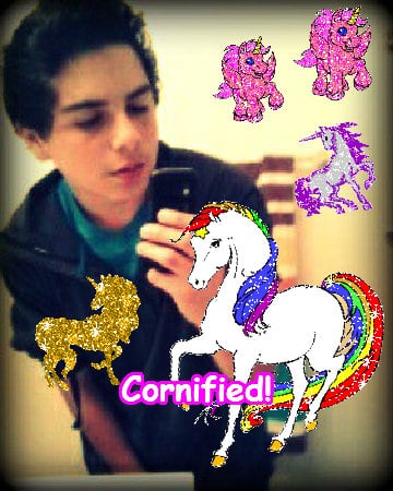 Crazy cute sunny cool cool family