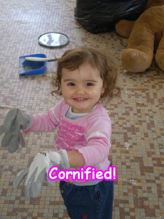 The fun cute cool jolly image