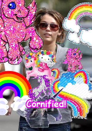 Crazy jolly sunny cute cool family