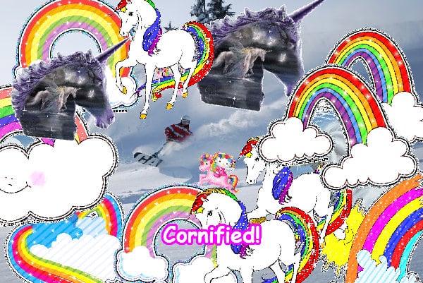 The most fun great super pink family