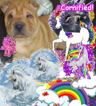 The most pink joyful joyful jolly photo