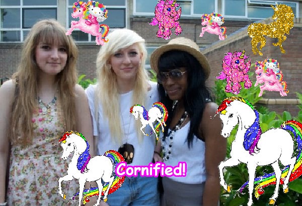 Crazy joyful sunny happy divine family