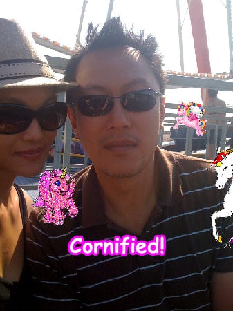 The best amazing joyful sunny sunny picture