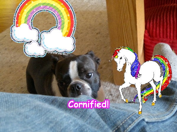 Super glad amazing glad sunny sunshine