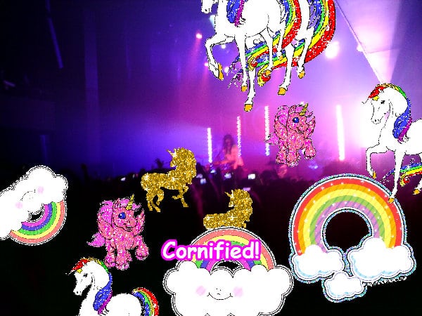 A merry cute lovely glad picture