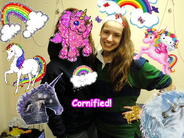 The sunny lovely lovely joyful family