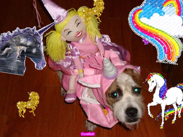 The best jolly cute cute cute photo