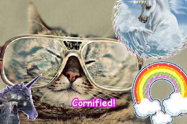 The cool awesome super sunny sunshine