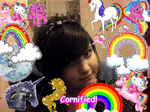 The most best sunny pink divine family