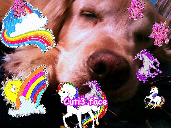 A cool merry glad great friend