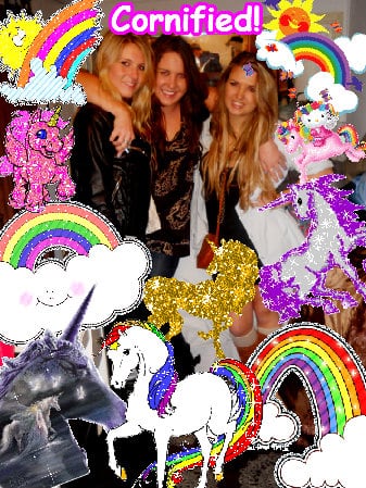 A best fun divine sunny unicorn