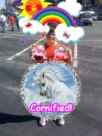 Crazy sunny lovely sunny jolly composition