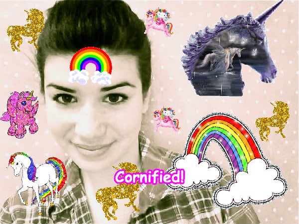 The most merry divine great cool sunshine