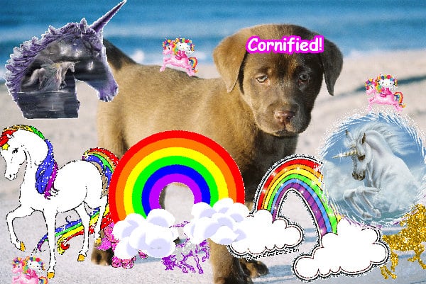 The lovely happy joyful amazing family