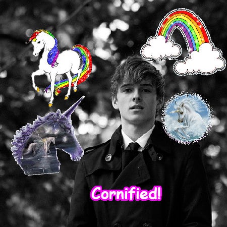 Crazy glad sunny happy pink family