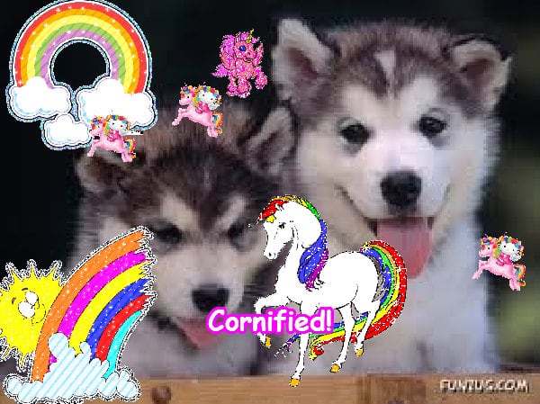 A best merry sunny great family