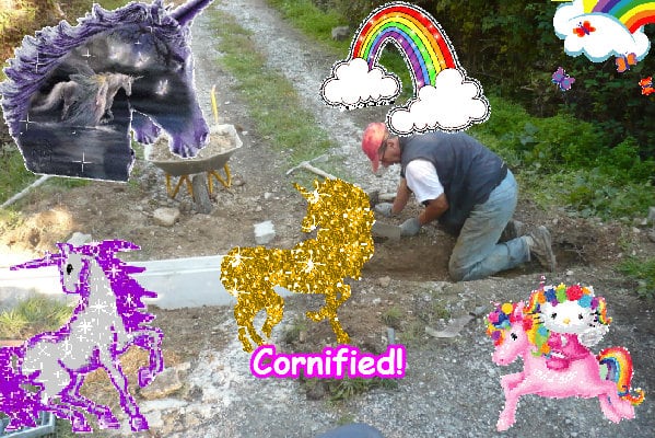 The most lovely fun merry amazing happiness