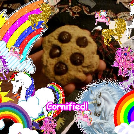 The most cool fun cool super family