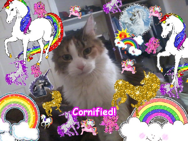 Mindblowingly great awesome sunny lovely composition