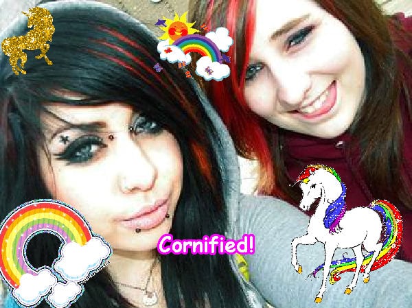 Crazy sunny happy great awesome sunshine