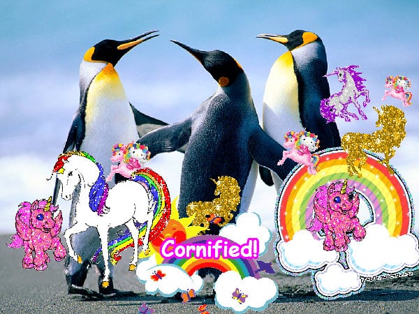 Crazy lovely super sunny super picture