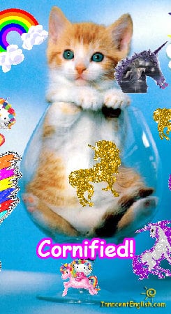 Mindblowingly jolly sunny pink divine picture