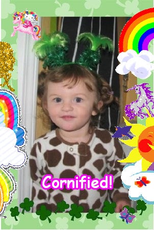 The most amazing fun joyful joyful image