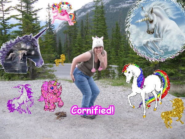 Crazy cool great sunny jolly composition