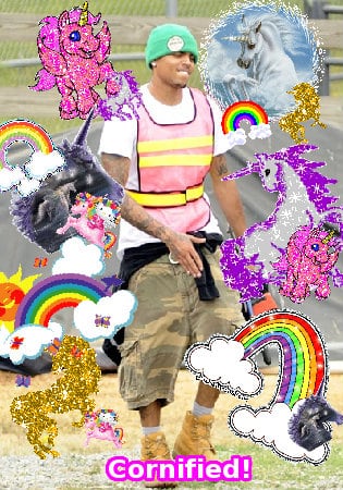 Crazy jolly cute best divine family