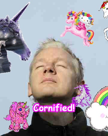 The most pink amazing pink joyful sunshine