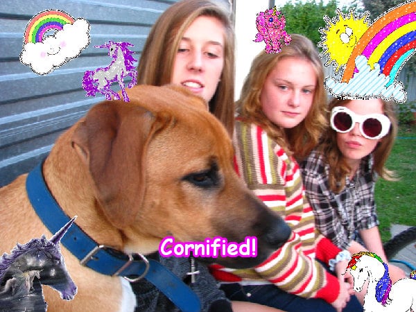 Mindblowingly super fun jolly amazing sparkle