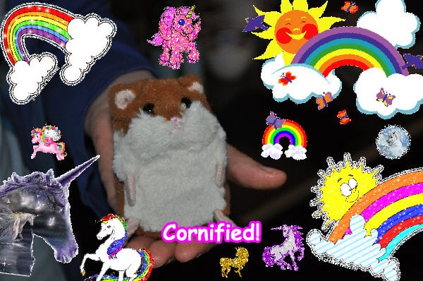 The cool cute jolly fun composition