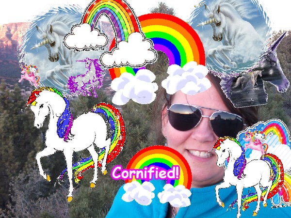 The best glad fun best sunny picture