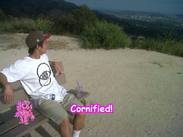 A awesome cool cute super unicorn