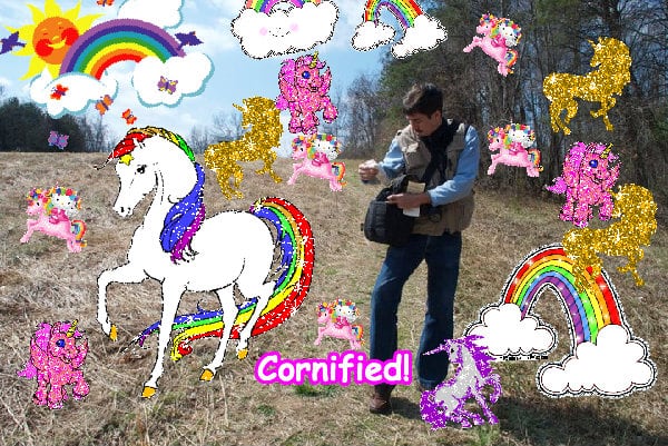 The merry merry sunny cool picture