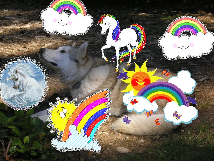 Super glad joyful cool super rainbow