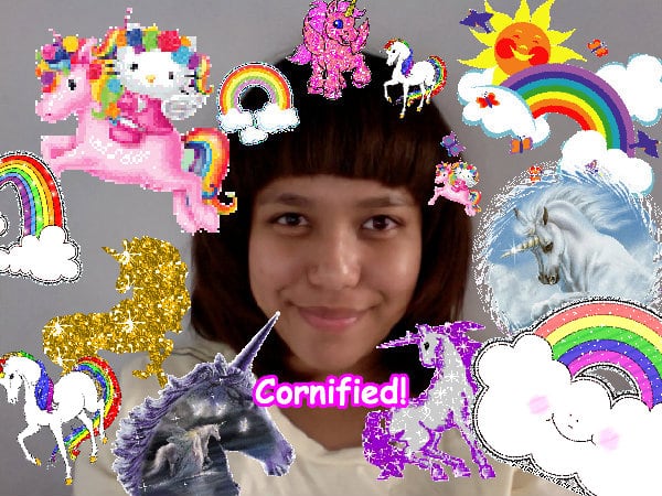 The divine fun amazing sunny picture