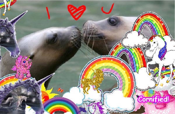 A sunny joyful sunny super photo