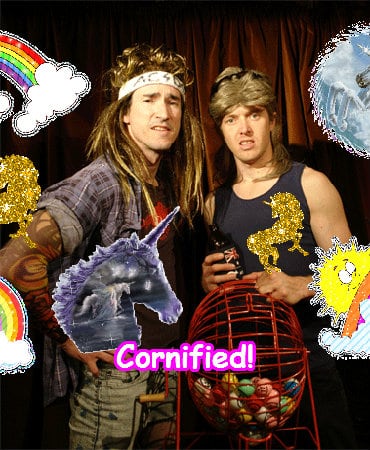 The sunny joyful joyful great fun