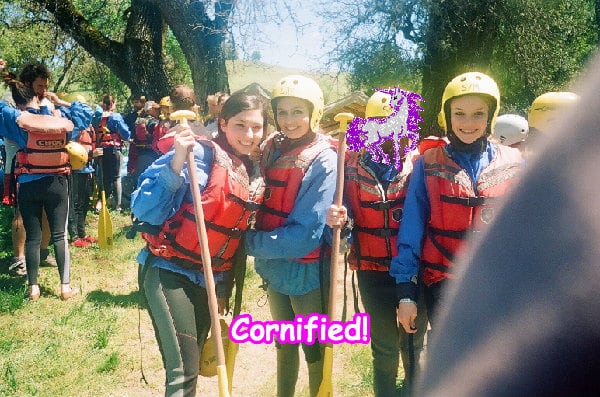 The most amazing cute joyful sunny fun