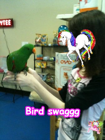 Super super pink joyful merry family