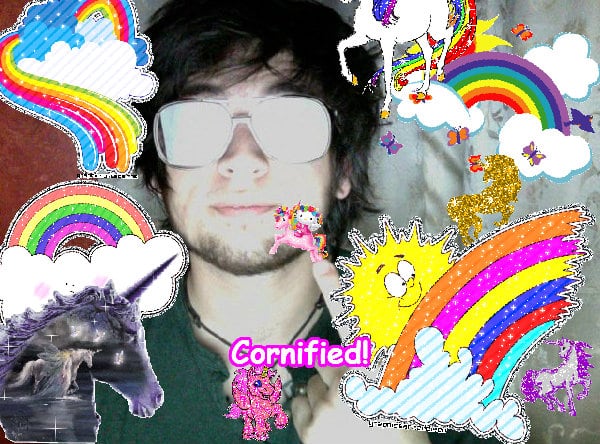 The most sunny joyful best lovely happiness