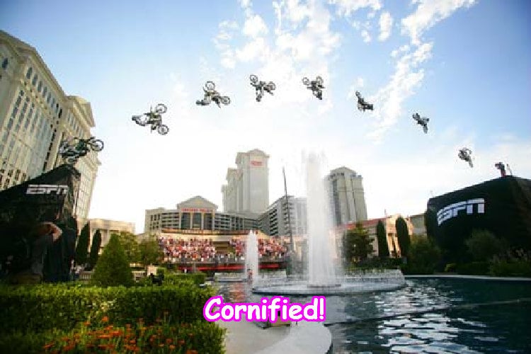 The awesome divine cool great unicorn