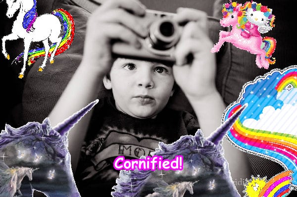 The most sunny joyful glad pink unicorn