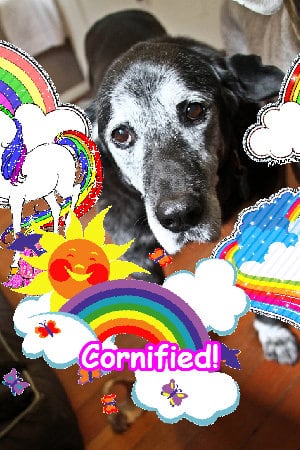 Super merry cool fun super family