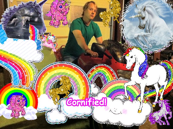 The joyful sunny super great picture