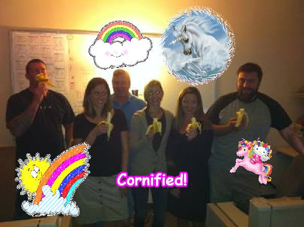 Mindblowingly sunny joyful super cool photo