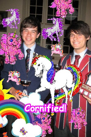 Crazy merry sunny cool best unicorn